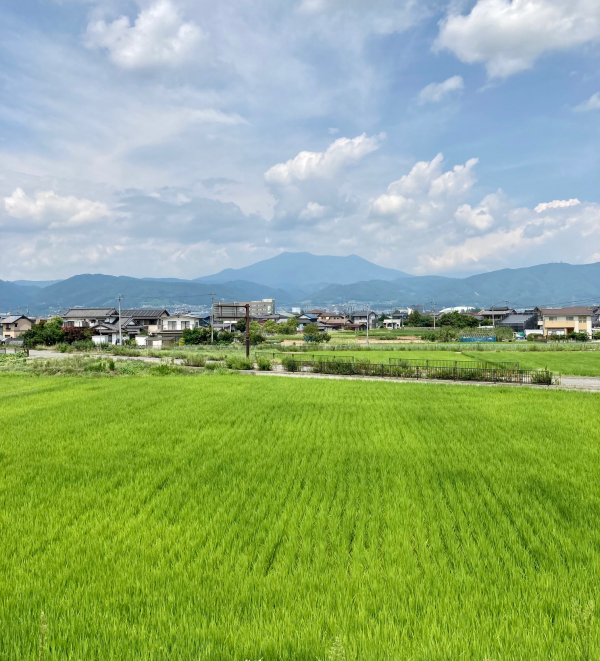 ◆夏季休業のお知らせ◆